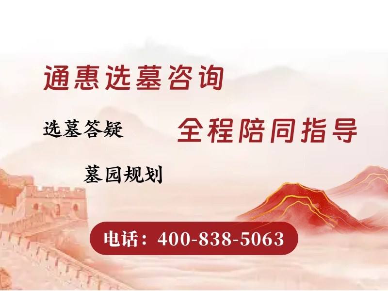 通惠河畔柳树吐翠，春日美景如画