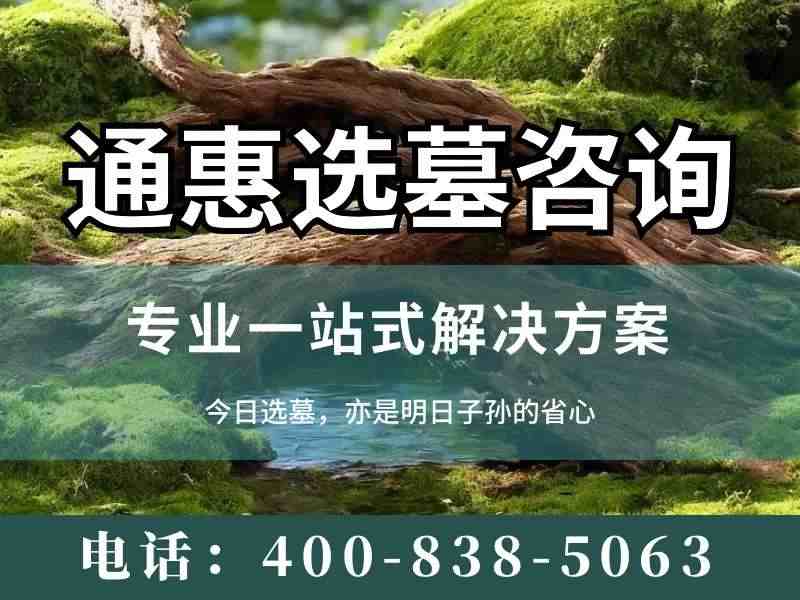 通惠陵园鱼形墓碑的鱼鳞是一片片雕的吗？探究其工艺与材质