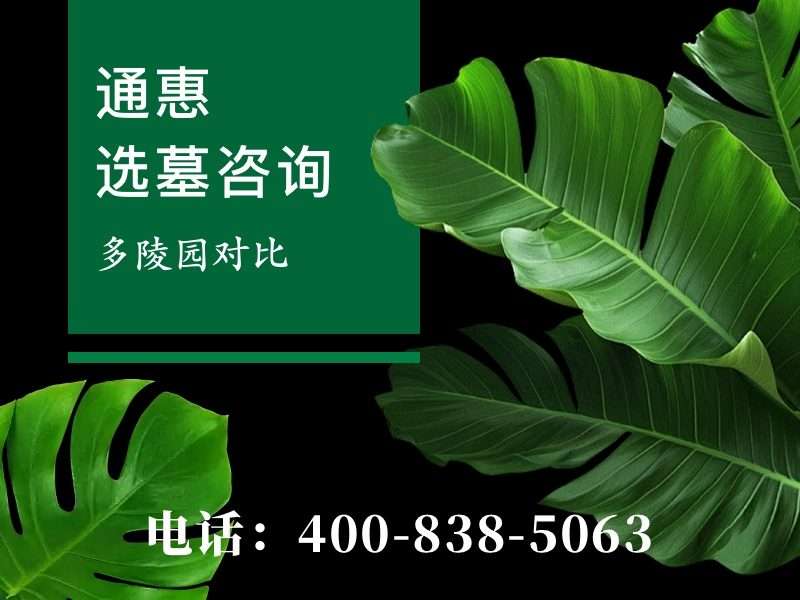 “通惠陵园通惠河边的柳枝年年发芽墓区年年更新”